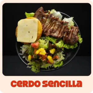 $22.000 | Acompañada de ensalada de lechuga, tomate, mango, y arepa con queso, todo en salsas de la casa. (Sin Papas)